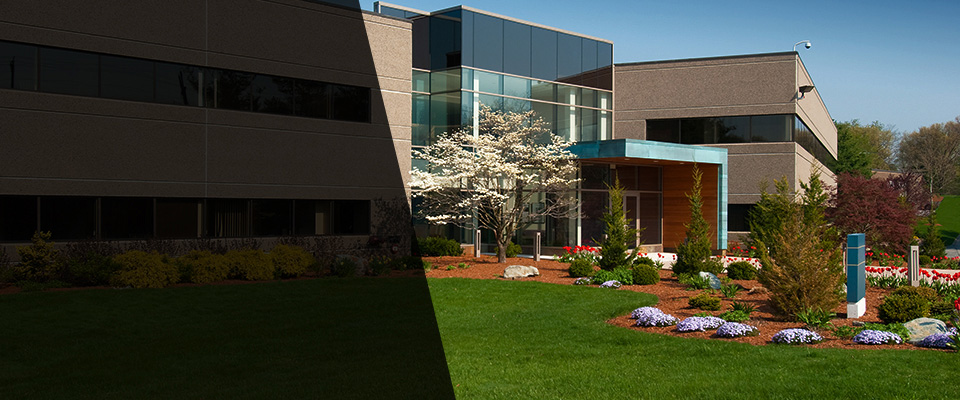 Hampton Landscapers