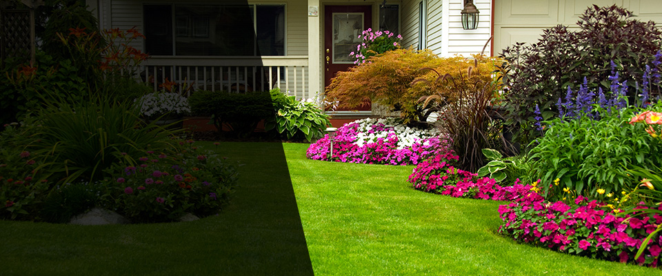 Hampton Landscapers