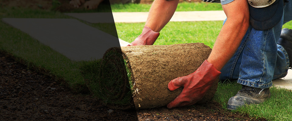 Hampton Landscapers